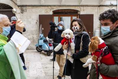Bari, la "benedizione degli animali": un'antica tradizione nel segno di Sant'Antonio Abate 